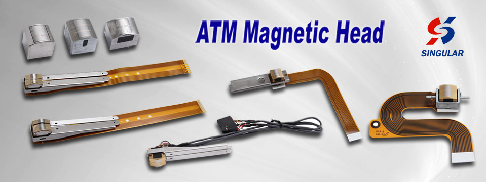 Encrypted Magnetic Head